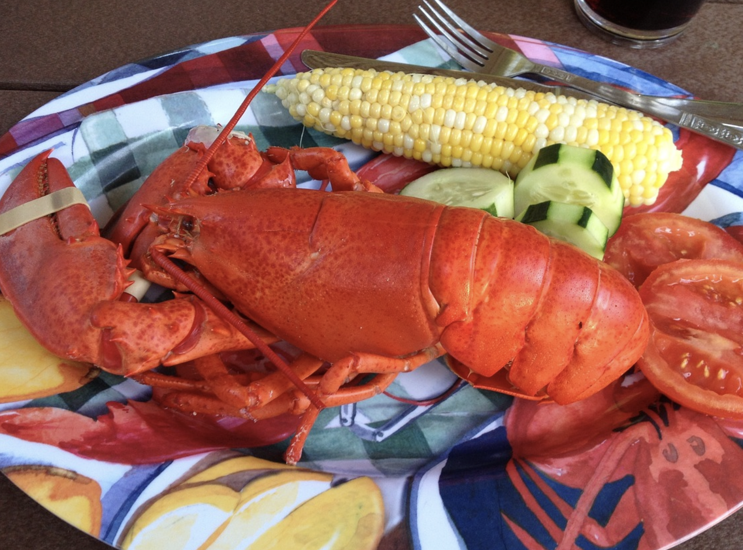 Más de 279 subtítulos creativos sobre langosta que se comparten en redes sociales