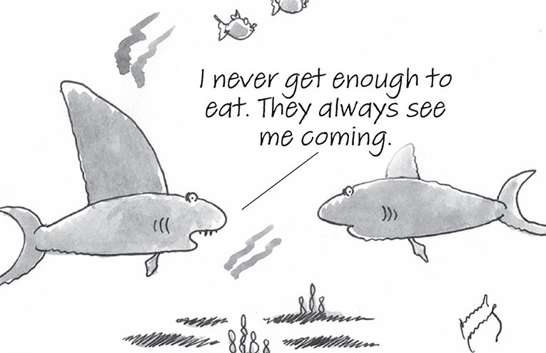 Chistes sobre el océano – Chistes de Scout Life