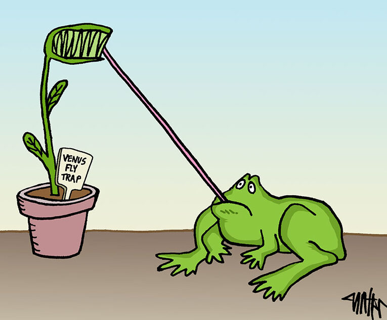 Chistes sobre moscas – Chistes de Scout Life