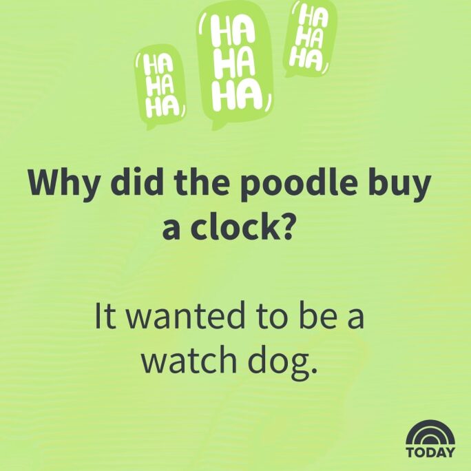 20 Chistes Infantiles para Adivinar. 257 mejores chistes de papá que son realmente divertidos