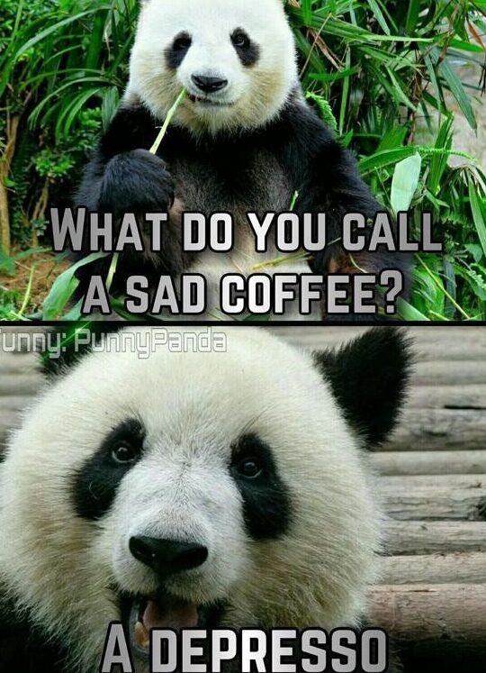 20 Chistes y Bromas de Pandas 71 bromas inofensivas, probadas y comprobadas por personas en línea |