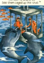 Chistes de tiburones: ¡Aleteando risas! ¿Podrías hacer retroceder a un tiburón golpeándole la nariz?