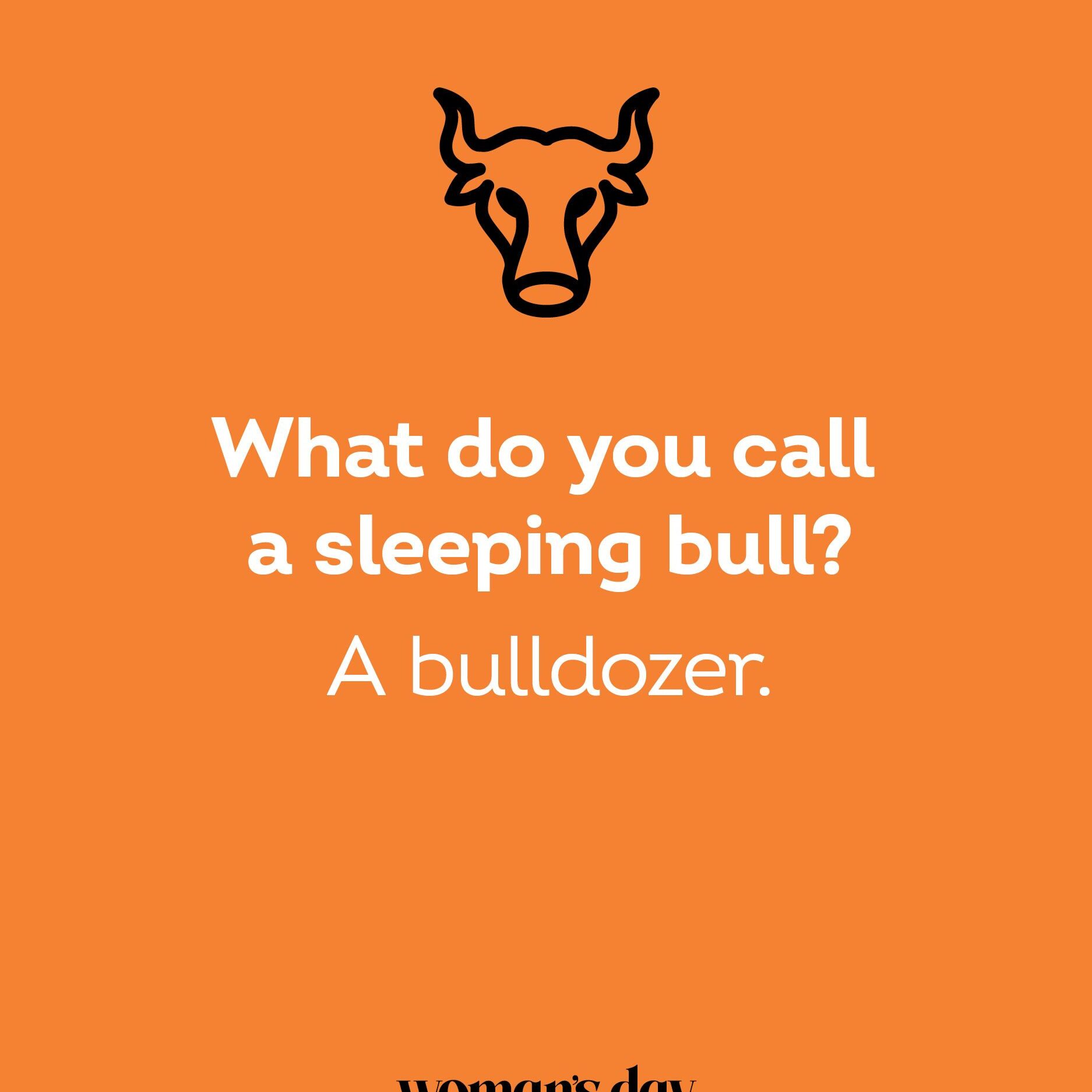 Chistes de toros: ¡Diviértete! 155 chistes cursis que niños y adultos encontrarán divertidos