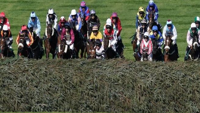 Cuestionario Definitivo sobre Caballos 2024 Gran concurso de maestros nacionales y estadounidenses