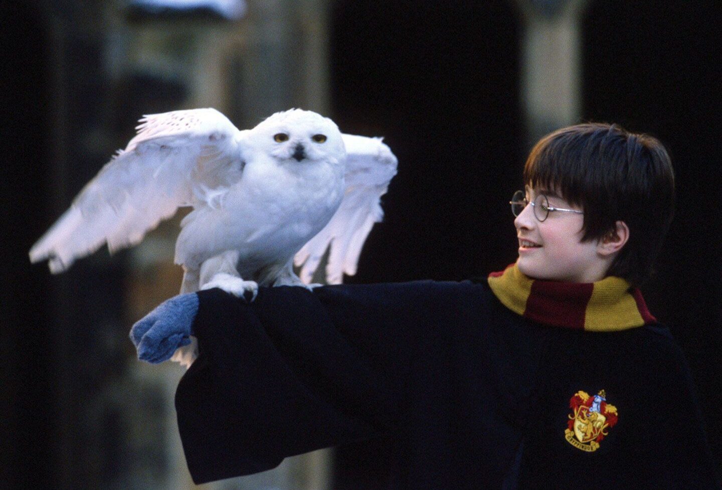 Descubre tu personaje de Harry Potter. Descubre tu personaje de Harry Potter.