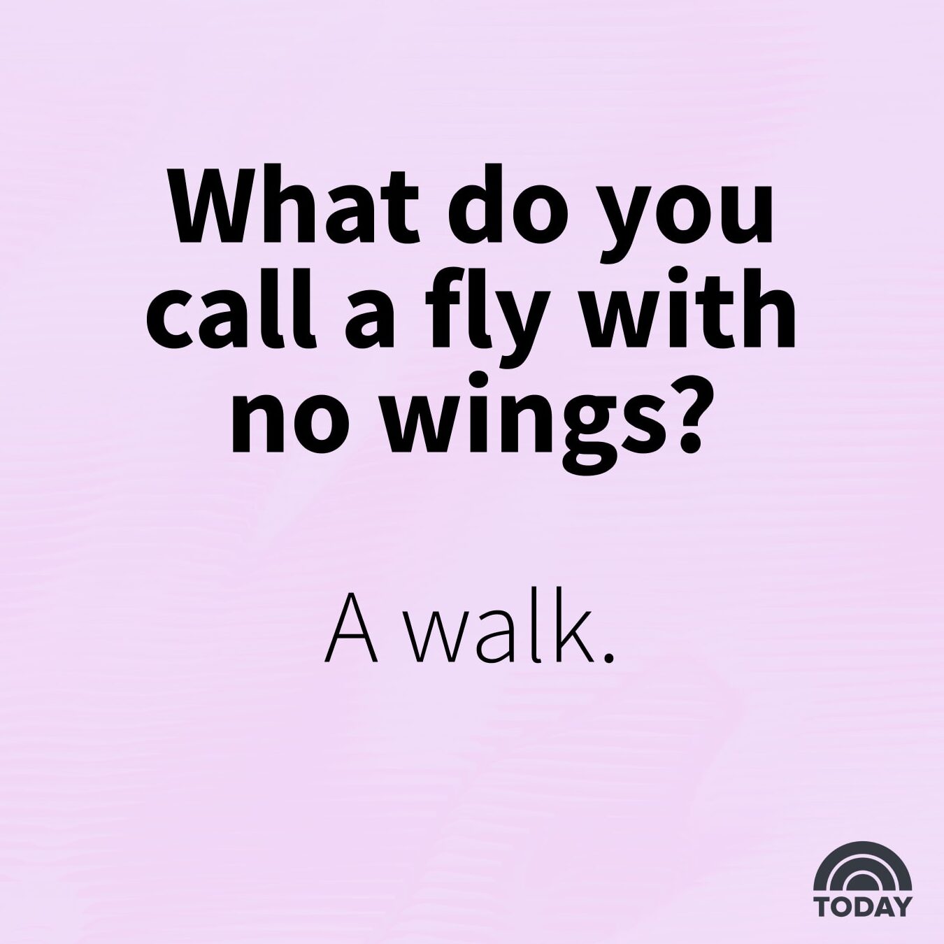 99 chistes y juegos de palabras divertidos sobre monos: divertidas alegrías de la jungla