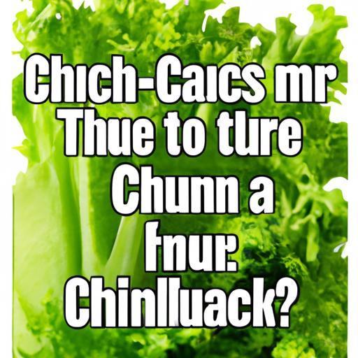 20 Chistes de Ensalada Nutritivos